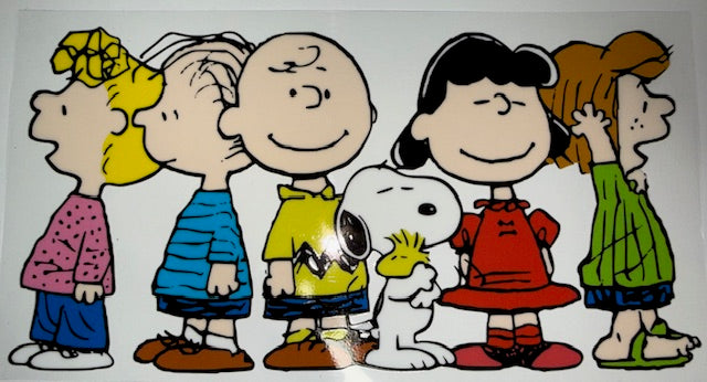Peanuts wrap