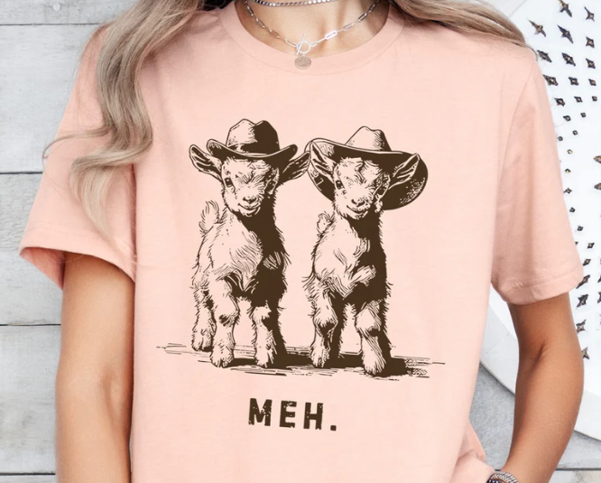 Meh DTF