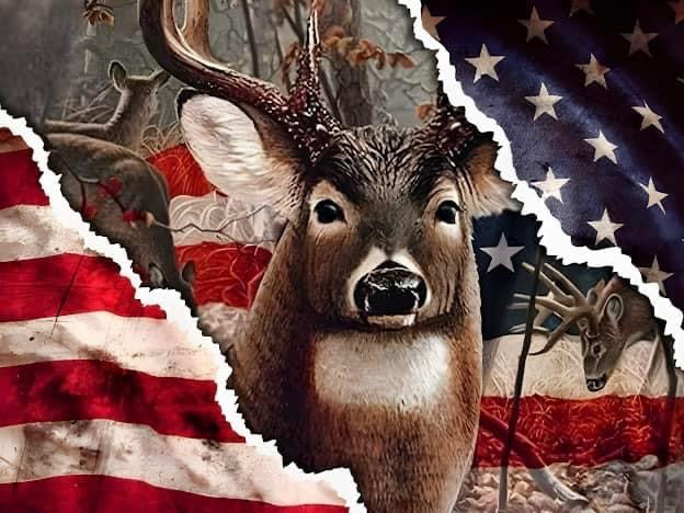 Buck Flag