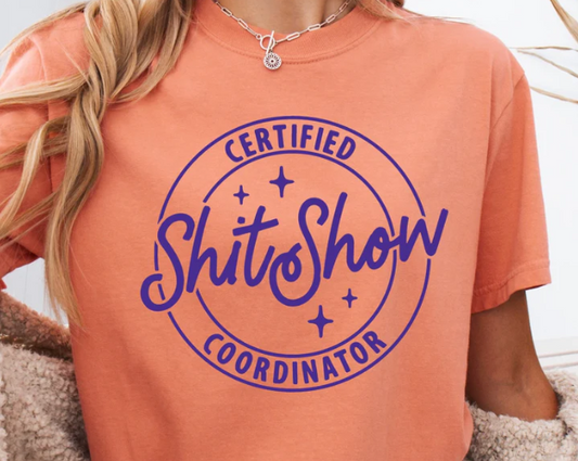 Shhh Show Coordinator DTF